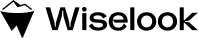Wiselook
